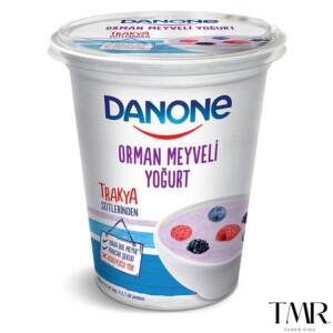 DANONE Meyveli Yoğurt